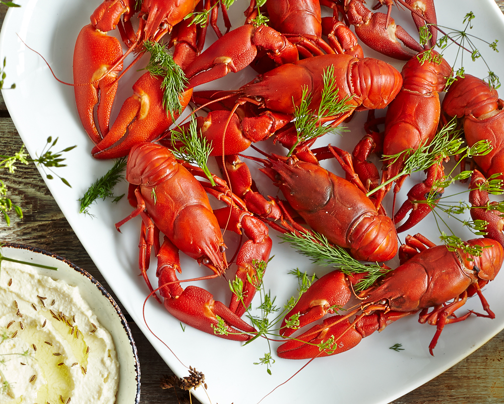 crayfish