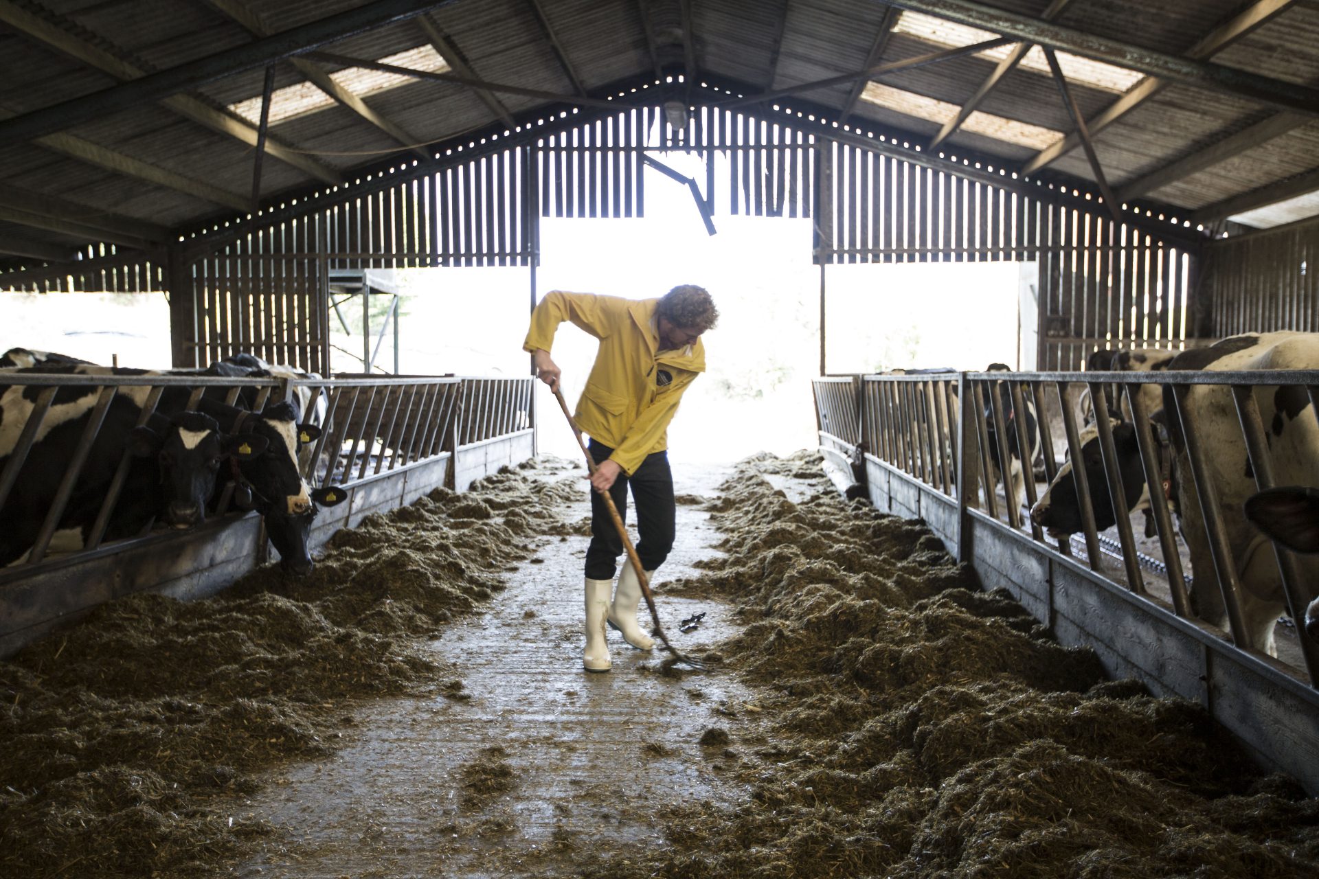 Giel Spierings Cornish Gouda