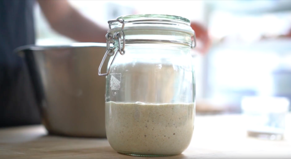 sourdough starter